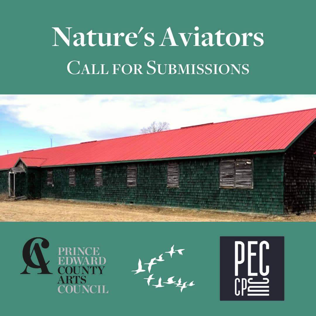 Nature's Aviators Call For Submissions Prince Edward County Arts Council PEC CP INC
