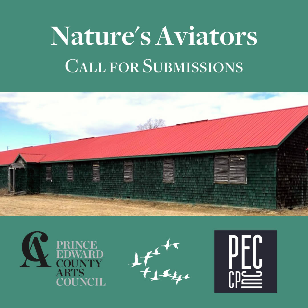 arts council Nature's Aviators Call For Submissions Prince Edward County Arts Council PEC CP INC