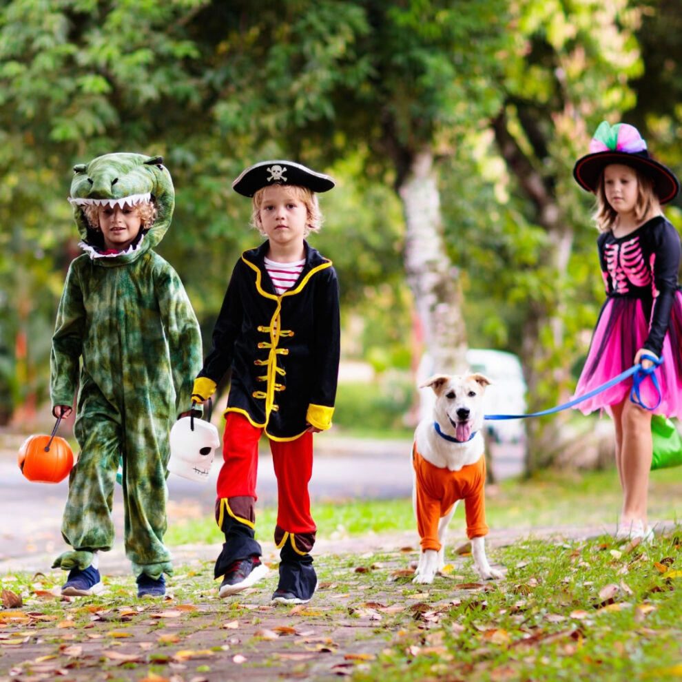 1080×1080 (TICKETING IMAGE) 5